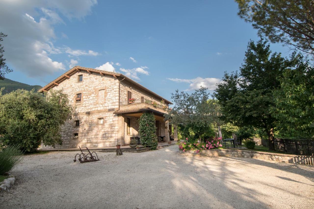 Agriturismo Il Giardino Dei Ciliegi Passaggio Di Assisi エクステリア 写真