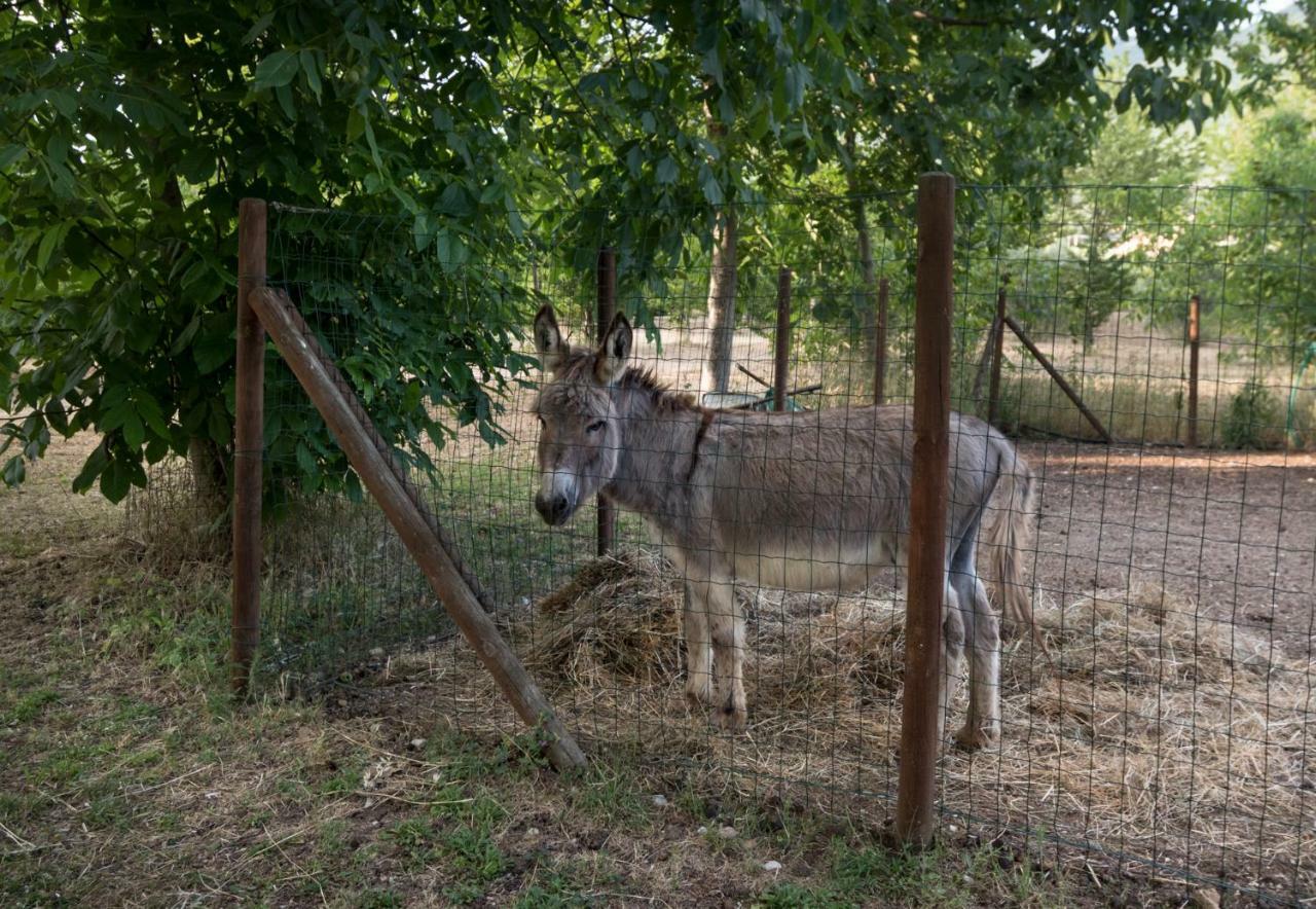 Agriturismo Il Giardino Dei Ciliegi Passaggio Di Assisi エクステリア 写真